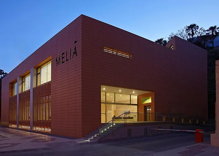 Hotel Melia Costa Del Sol 4*
