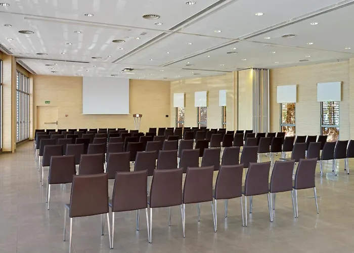 Hotel Melia Costa Del Sol 4*