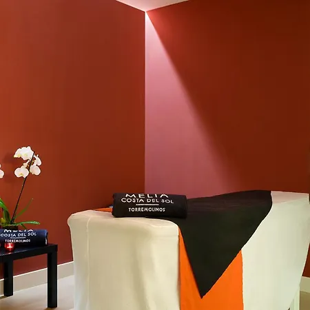 Melia Costa Del Sol Torremolinos