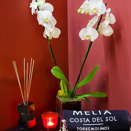 Melia Costa Del Sol 4* Torremolinos