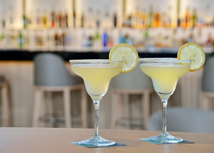 멜리아 코스타 델 솔 4*