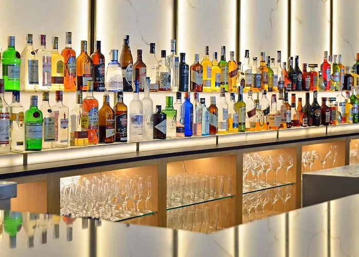 멜리아 코스타 델 솔 4*