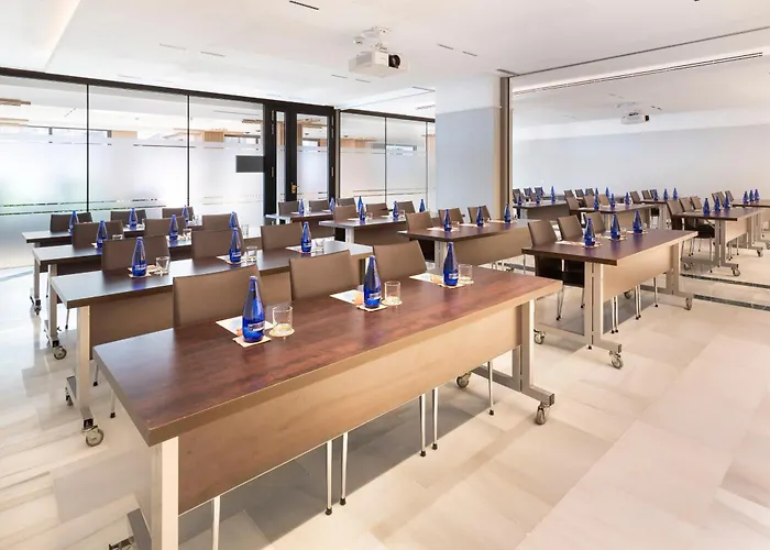 Hotel Melia Costa Del Sol