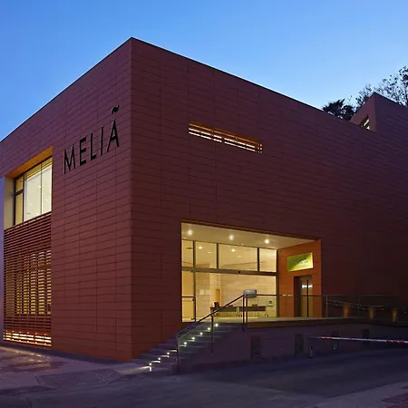 Hotel Melia Costa Del Sol 4*