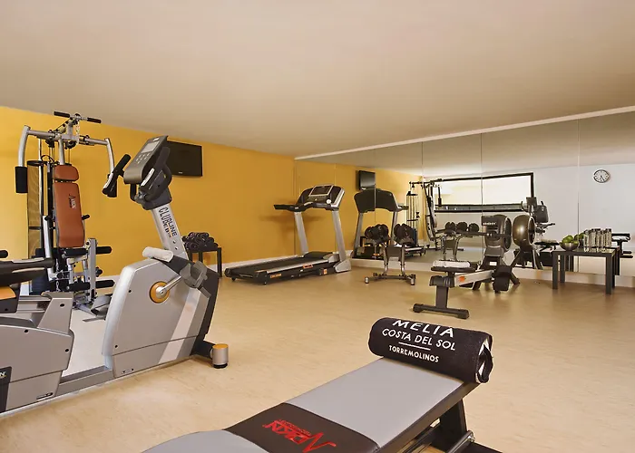 Melia Costa Del Sol Hotel Torremolinos